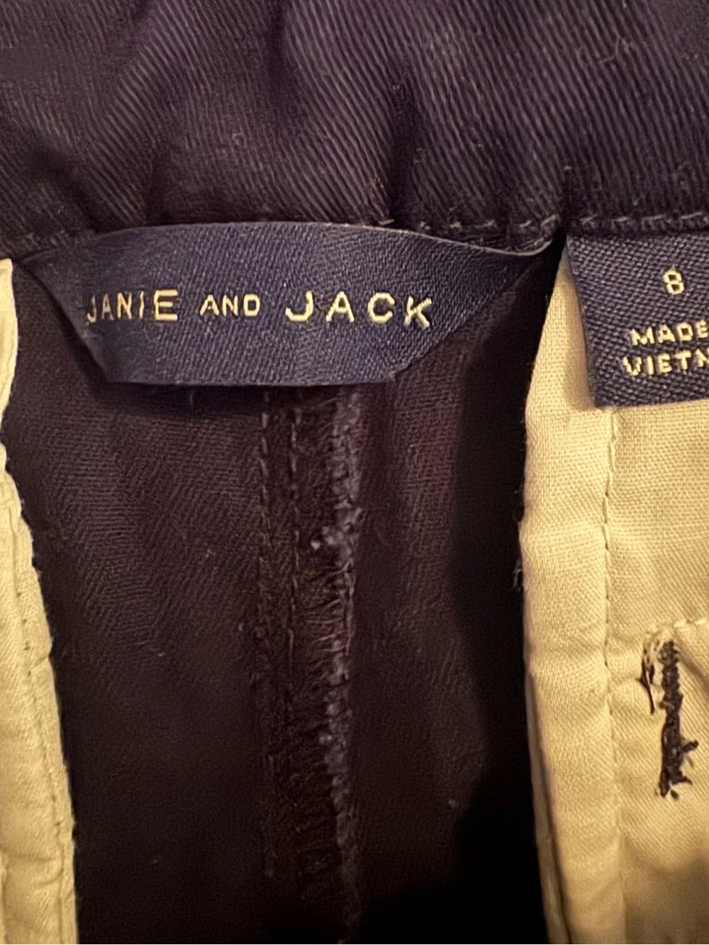 Janie and Jack Navy Kids' Shorts with Lemon Embroidery